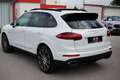Porsche Cayenne Cayenne II Platinum Edition 3,0 Aut. Weiß - thumbnail 16