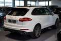 Porsche Cayenne Cayenne II Platinum Edition 3,0 Aut. Weiß - thumbnail 8