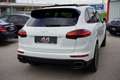 Porsche Cayenne Cayenne II Platinum Edition 3,0 Aut. Weiß - thumbnail 15