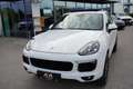 Porsche Cayenne Cayenne II Platinum Edition 3,0 Aut. Weiß - thumbnail 11