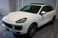 Porsche Cayenne Cayenne II Platinum Edition 3,0 Aut. Weiß - thumbnail 3