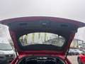 Mazda Sonstige Sonstige 6/SPC/G194/AT/REVOLUTION TOP Rot - thumbnail 10