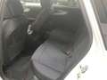 Audi A4 Avant 40 TFSI q. S line *Matrix*AHK*Pano*HuD* Weiß - thumbnail 6