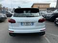Porsche Cayenne Cayenne 4.1 S / SERVICE PORSCHE Bianco - thumbnail 5