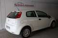 Fiat Grande Punto 1.2 8V Basis, Klima, HU neu!!! Weiß - thumbnail 19