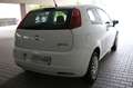 Fiat Grande Punto 1.2 8V Basis, Klima, HU neu!!! Weiß - thumbnail 7