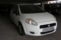 Fiat Grande Punto 1.2 8V Basis, Klima, HU neu!!! Weiß - thumbnail 3