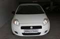 Fiat Grande Punto 1.2 8V Basis, Klima, HU neu!!! Weiß - thumbnail 2
