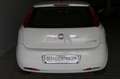 Fiat Grande Punto 1.2 8V Basis, Klima, HU neu!!! Weiß - thumbnail 17