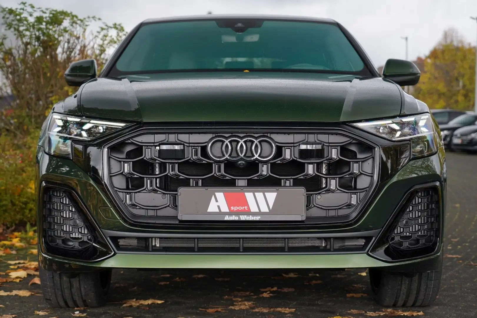 Audi SQ8 TFSI VERDE ERMES PANO OLED MASSAGE LASER HuD Зелёный - 2