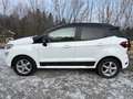 Ford EcoSport ST-Line 125PS Benzin TOP ZUSTAND!!! Weiß - thumbnail 7