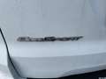 Ford EcoSport ST-Line 125PS Benzin TOP ZUSTAND!!! Weiß - thumbnail 29