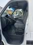 Nissan NV400 35S13 2.3dCi130cv MH2 Frigo-20°C ATP05 25kg1080 Bianco - thumbnail 9