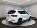 CUPRA Ateca VZ 2.0 TSI 221 kW(300 PS) 7-Gang DSG Weiß - thumbnail 5