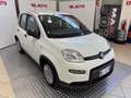 Fiat Panda Panda 1.0 FireFly S&S Hybrid Bianco - thumbnail 2