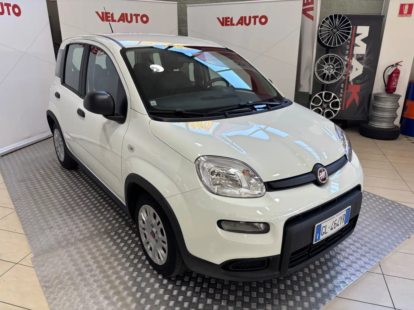Fiat Panda Panda 1.0 FireFly S&S Hybrid Bianco - 2
