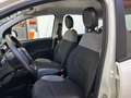 Fiat Panda Panda 1.0 FireFly S&S Hybrid Bianco - thumbnail 11