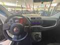 Fiat Panda Panda 1.0 FireFly S&S Hybrid Bianco - thumbnail 8