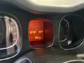 Fiat Panda Panda 1.0 FireFly S&S Hybrid Bianco - thumbnail 5