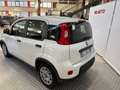 Fiat Panda Panda 1.0 FireFly S&S Hybrid Bianco - thumbnail 3