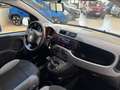 Fiat Panda Panda 1.0 FireFly S&S Hybrid Bianco - thumbnail 9