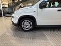 Fiat Panda Panda 1.0 FireFly S&S Hybrid Bianco - thumbnail 4
