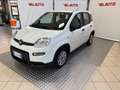 Fiat Panda Panda 1.0 FireFly S&S Hybrid Bianco - thumbnail 1