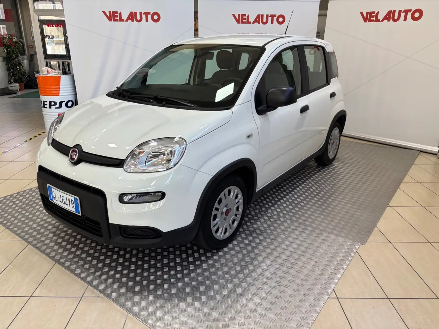 Fiat Panda Panda 1.0 FireFly S&S Hybrid Bianco - 1