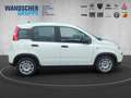 Fiat Panda MY24 Hybrid 1.0 GSE 70PS KLIMAANLAGE*RADIO Blanc - thumbnail 9