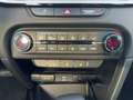 Kia Ceed SW / cee'd SW Ceed Sportswagon 1.5 T-GDI Vision Navi+SHZ+Kam. Grijs - thumbnail 13