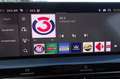 Citroen C5 X PureTech 130 Shine EAT8 Grau - thumbnail 21