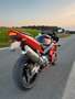 Honda CB 900 954 Fireblade Rouge - thumbnail 2