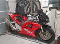 Honda CB 900 954 Fireblade Rouge - thumbnail 4