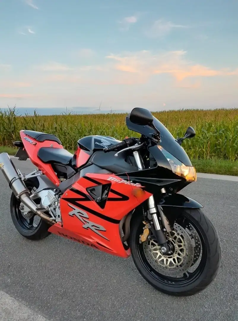 Honda CB 900 954 Fireblade Rouge - 1