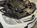 Mercedes-Benz E 250 Avantgarde Cabrio – TÜV und Inspektion neu! Wit - thumbnail 14