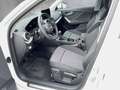 Audi Q2 30 TFSI admired Weiß - thumbnail 9