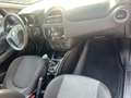 Fiat Punto 5p 1.2 Young *UNIPRO*GRANDINATA* Blu/Azzurro - thumbnail 14