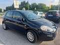 Fiat Punto 5p 1.2 Young *UNIPRO*GRANDINATA* Blu/Azzurro - thumbnail 3