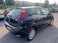 Fiat Punto 5p 1.2 Young *UNIPRO*GRANDINATA* Blu/Azzurro - thumbnail 5