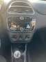 Fiat Punto 5p 1.2 Young *UNIPRO*GRANDINATA* Blu/Azzurro - thumbnail 11