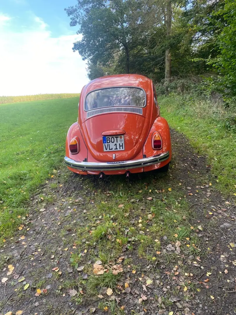 Volkswagen Käfer Oranžová - 2