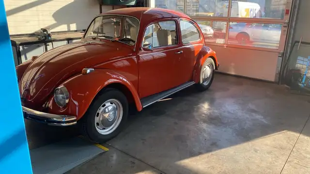 Volkswagen Käfer