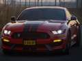 Ford Mustang Shelby GT350 - V8 - Collector’s Edition (1/78) Rood - thumbnail 4