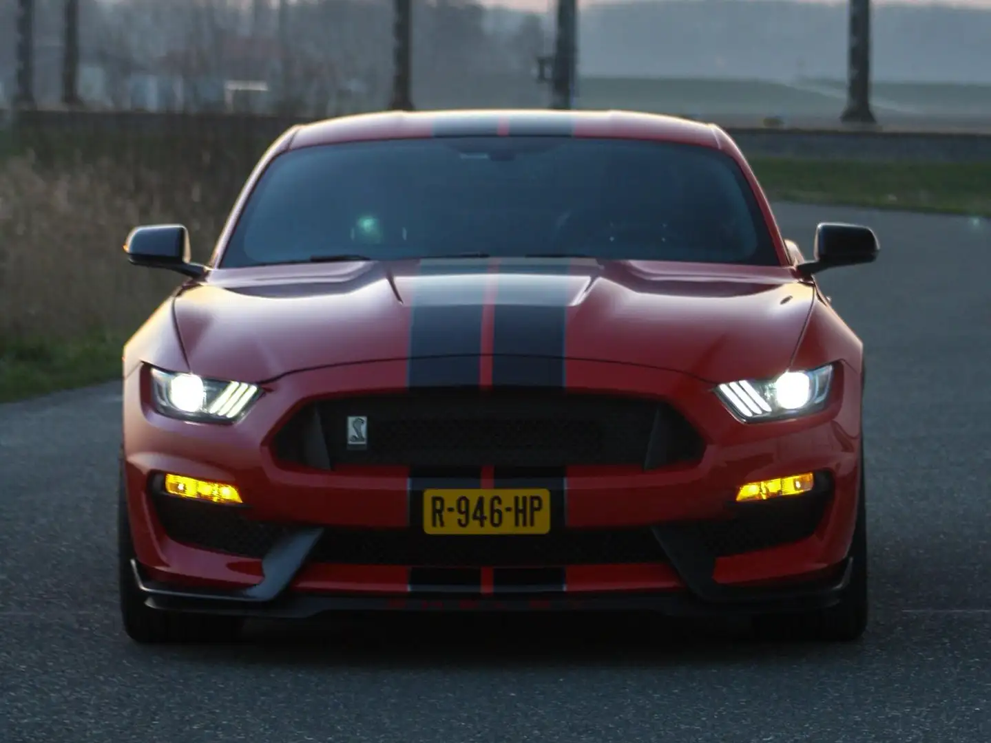 Ford Mustang Shelby GT350 - V8 - Collector’s Edition (1/78) Rood - 2