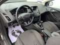 Ford Focus 1.5 EcoBoost Titanium*Handelaar Of Export* Gris - thumbnail 9