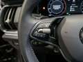 Skoda Kodiaq Selection 2.0 TDI 4x4 DSG Pano Stdhzg AHK Grau - thumbnail 13