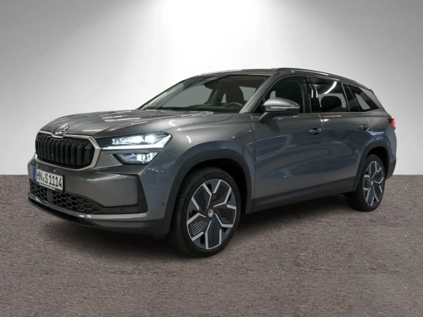 Skoda Kodiaq Selection 2.0 TDI 4x4 DSG Pano Stdhzg AHK Grau - 1