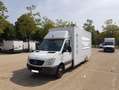 Mercedes-Benz Sprinter 316 CDI EURO5 hayon lift PERMIS B 35m3 Wit - thumbnail 4