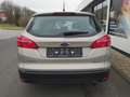 Ford Focus Business Beige - thumbnail 5