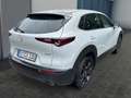 Mazda CX-30 2.5L e-SKYACTIV G 140ps Homura Gris - thumbnail 6